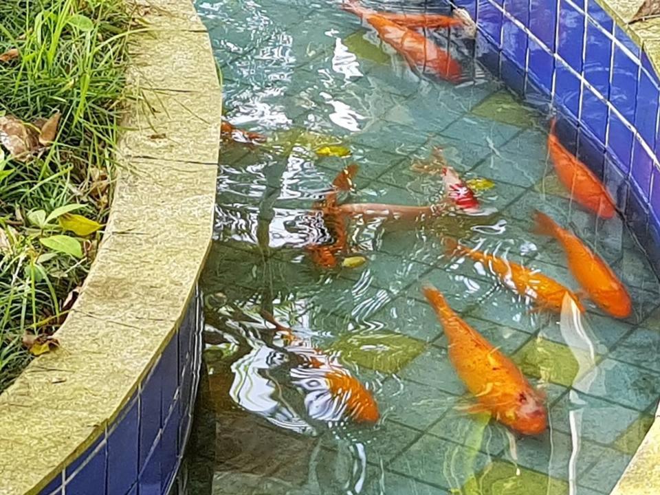 Pousada Morada Das Ilhas Boicucanga Buitenkant foto