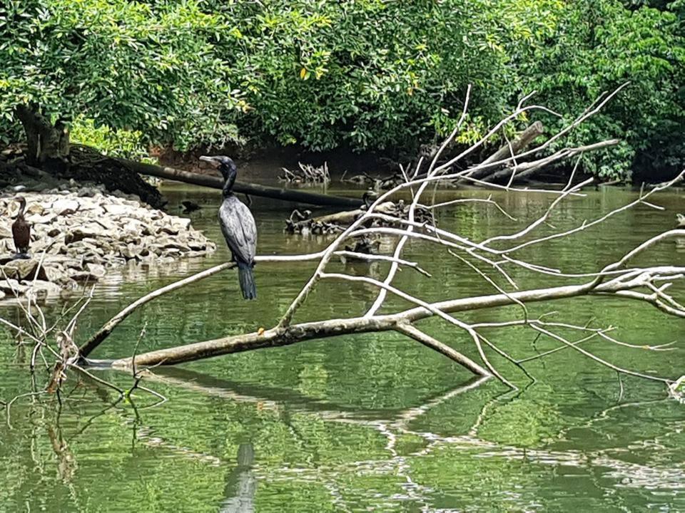 Pousada Morada Das Ilhas Boicucanga Buitenkant foto