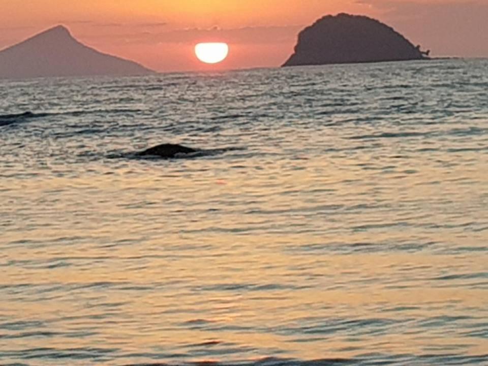 Pousada Morada Das Ilhas Boicucanga Buitenkant foto